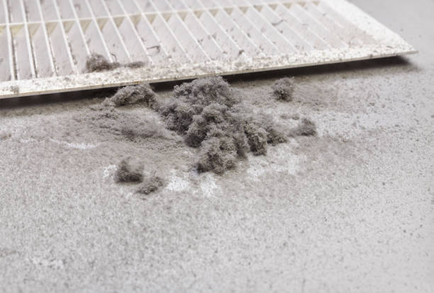 Best Air Duct Cleaning Near Me  in Houghton, NY