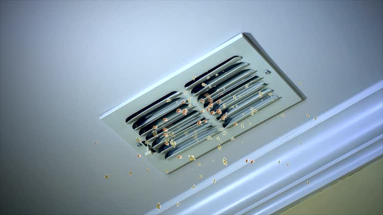 Best Affordable HVAC Duct Cleaning  in Houghton, NY